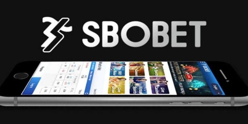 Các kèo cược thể thao cơ bản tại Sbobet King88